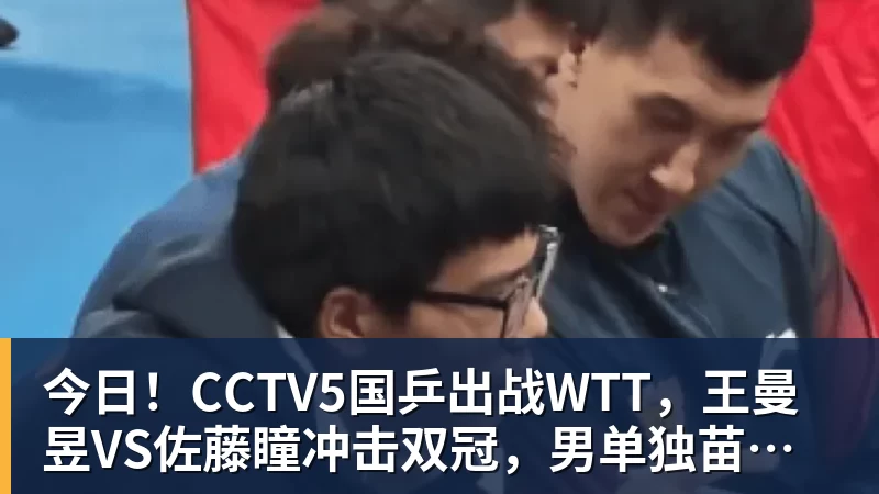 今日!CCTV5国乒出战WTT,王曼昱VS佐藤瞳冲击双冠,男单独苗周启豪PK松岛辉空